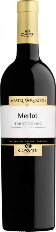 Merlot Trentino DOC 2019 Mastri Vernacoli Cavit